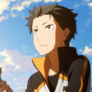 Subaru  (RE:Zero) PFP