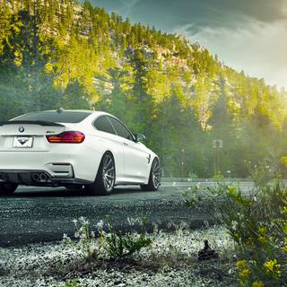 BMW M4 F82/F83 White Z Performance