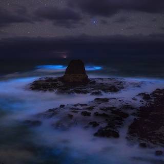 Noapte înstelată peste ocean