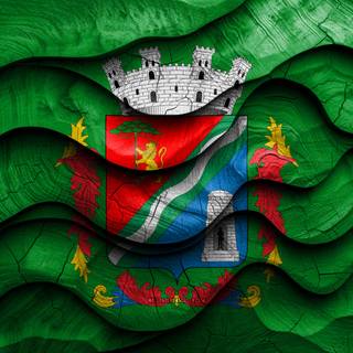 Flag Of São Leopoldo