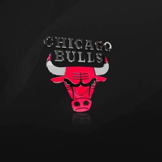 Chicago Bulls