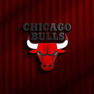 Chicago Bulls