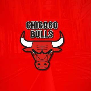 Chicago Bulls