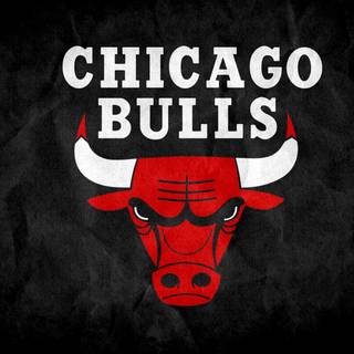 Chicago Bulls