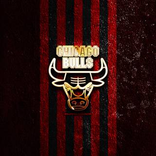 Chicago Bulls
