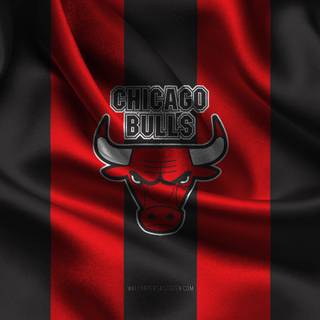 Chicago Bulls