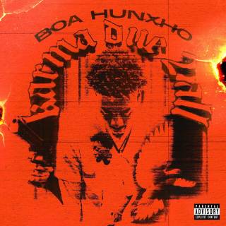 BOA hunxho 