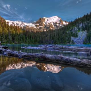 Green and yellow trees near mountain during daytime