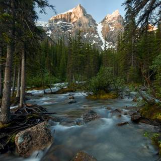 Moraine lake brook in the woods with rocky mountains at banff canada
