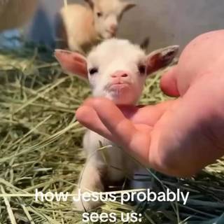 (Not Mine) But This is so true and I love it :)))