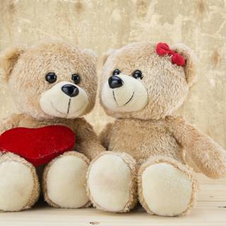 Love Teddy Bear