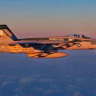 McDonnell Douglas FA-18 Hornet