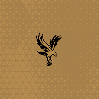 Crystal Palace F.C.