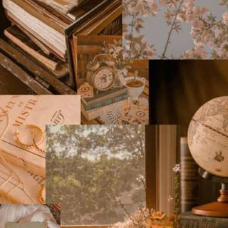 light academia! i made this