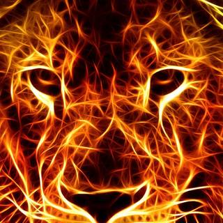 fire jaguar/lion