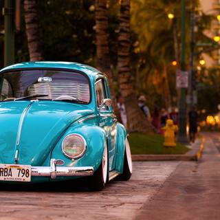 Volkswagen Beetle 