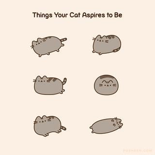 Things Your Cat Aspires to Be!