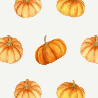 Pumpkin 
