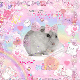 cutecore hamster