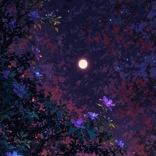 High-Quality Mobile & Desktop Wallpapers