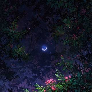 High-Quality Mobile & Desktop Wallpapers