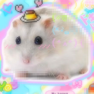 cutecore hamster>3