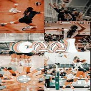 Volleyball