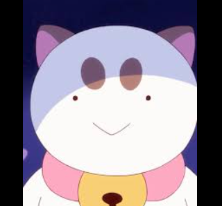 puppy cat death stare