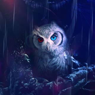 Fantasy owl