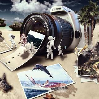  The Evolution In The World