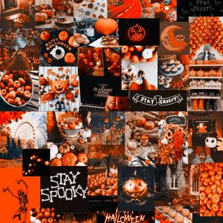 All These posts are from Pinterest  No Joking Here !!!!!