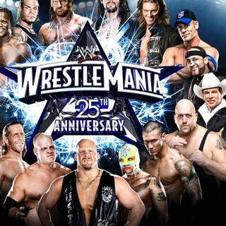wrestlemania 25 