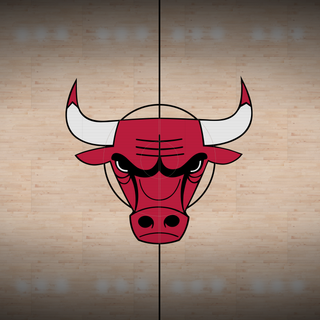 Chicago Bulls