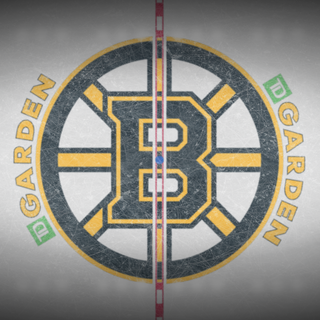 Boston Bruins