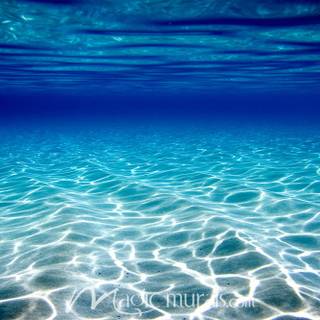 Under the Ocean