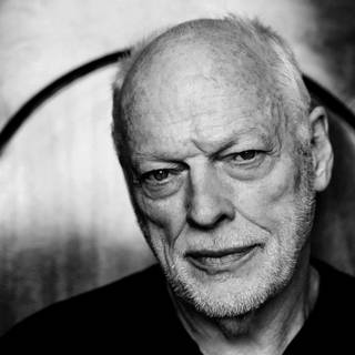 David Gilmour 