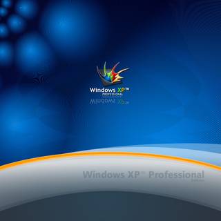 Windows XP Logo