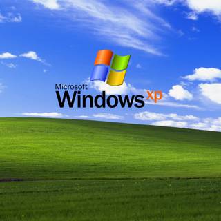 Windows XP Logo