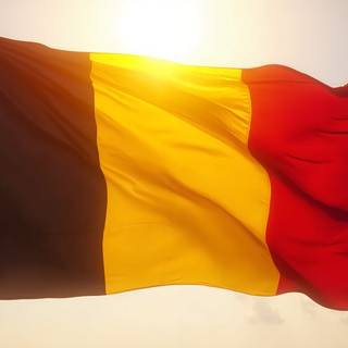 Flag of Belgium