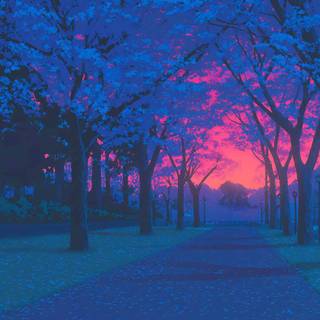 Cherry Blossom Sunset 