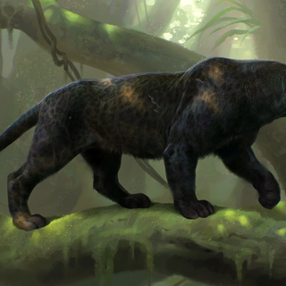 Panther