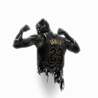 Black Panther / LeBron James