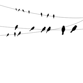 Birds on a Wire