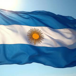 Flag Of Argentina