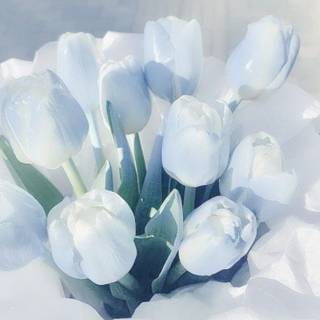 ･ ⟢ ⋮ blue icon cutecore  ゛༝.