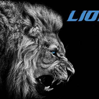 Detroit Lions