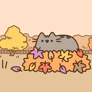 Pusheen 