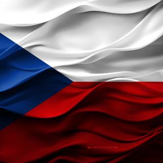 Flag Of Czech Republic