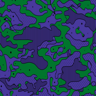 Camouflage 