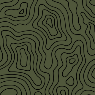 Topo Pattern 